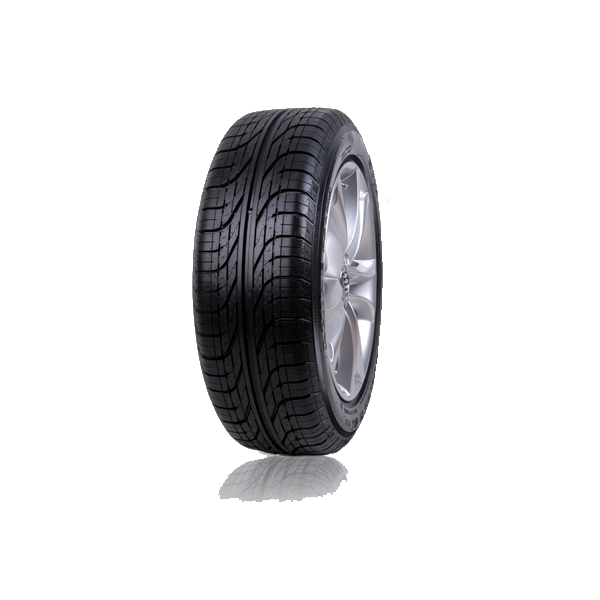 205/55R16 TL 91V AMINE - Palma